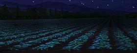 darkness on the farm